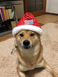 サイズはＸＬ・・・