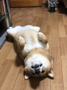 時々薄目