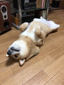 死んだふり