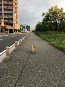 ルーティーン