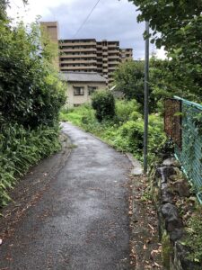 朝のお散歩　第2弾