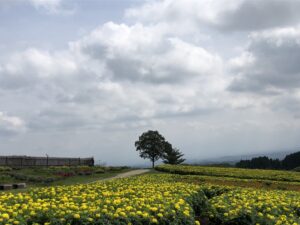 秋といえば
