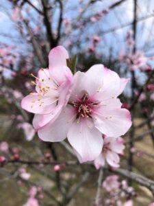 大神ファームに行ってきました！