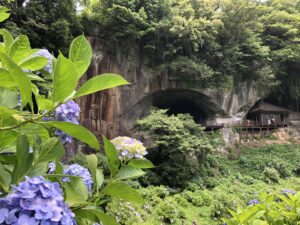 紫陽花を見に朝地町の普光寺