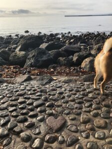 ここはどこでしょう？