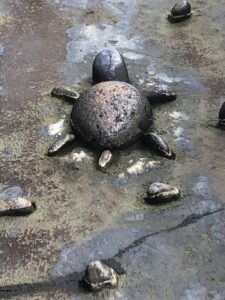 ここはどこでしょう？