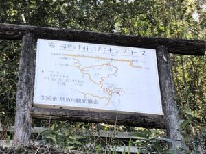 謎のハイキングコース