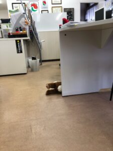 事件？発生！！