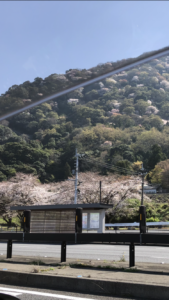 春の訪れ
