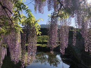 西寒多神社