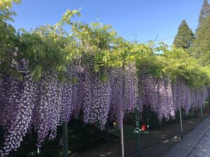 西寒多神社