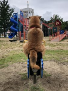 散歩大好き♪