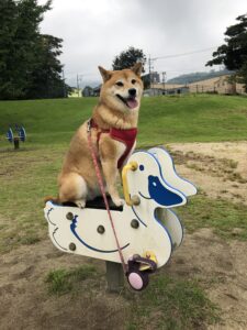 散歩大好き♪