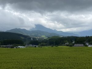 秋の気配🌾