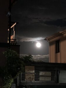 秋を感じます！！