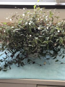 テンション上げて行こ↑