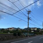 私の休日🎶