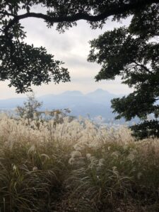 米神山