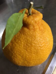 あっという間に１年