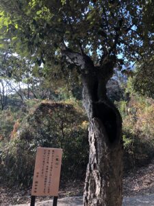 八幡竈門神社
