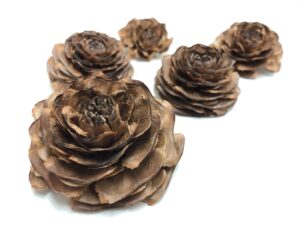 バラのようでバラではない🌹