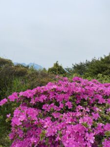 連休☺️♬