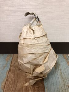 ダミー蜂の巣１号