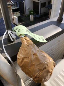 ダミー蜂の巣２号