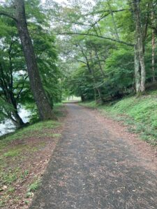 どこでもドア