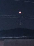 皆既月食と天王星食