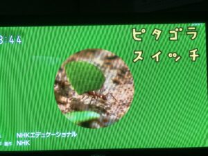 ハキリアイ
